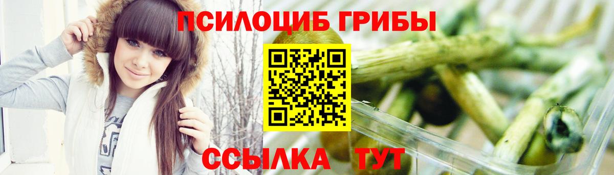 Псилоцибиновые грибы Cubensis  Вход с VPN  Брянск 