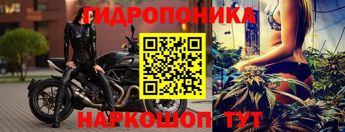 Марихуана White Widow  Марихуана ГИДРОПОН  Брянск  Бошки марихуана Bruce Banner  Шишки марихуана OG Kush  Вход с VPN 